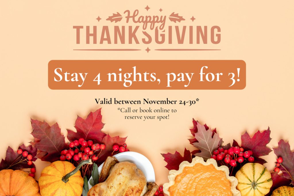 Thanksgiving Marketing Campaign